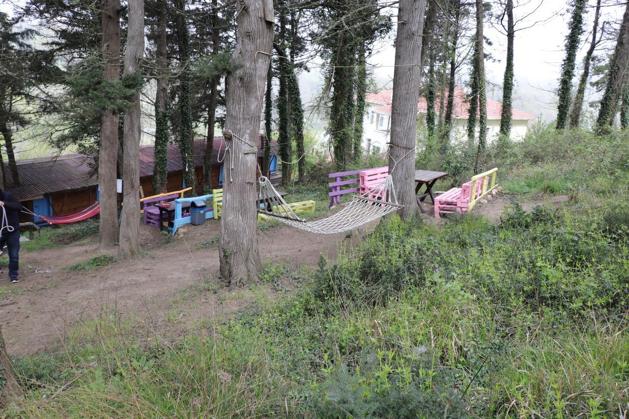 Ekoland Hotel Agva  Exterior photo